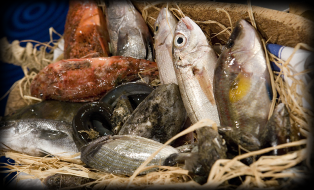 Pesca pesca-accordo-coldiretti-pi-and-ugrave-prodotti-sardi-a-tavola
