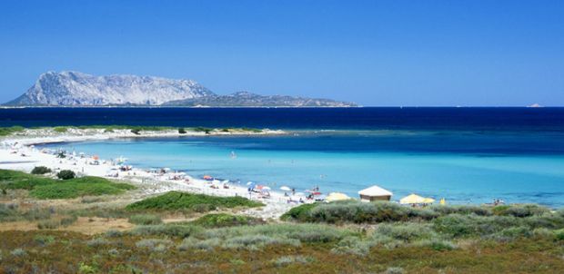 San Teodoro san-teodoro-ruspe-per-pulire-spiaggia-multato-imprenditore