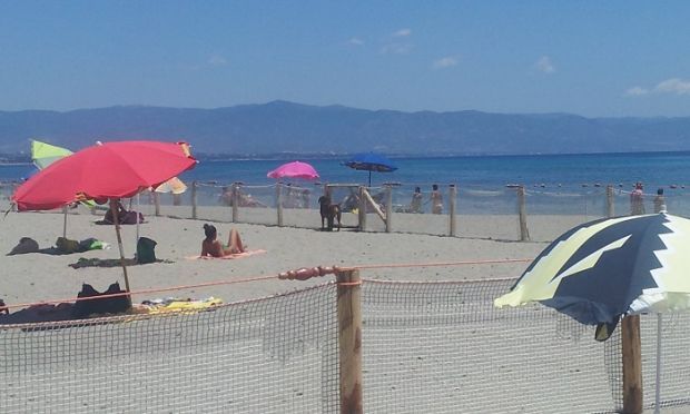 poetto-nuovo-look-per-l-and-rsquo-area-cani