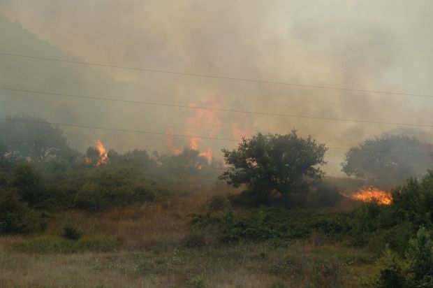 Incendi incendi-fiamme-in-sei-centri-mezzi-aerei-in-azione