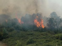incendi-rischi-anche-dai-rifiuti-10-consigli-da-coldiretti