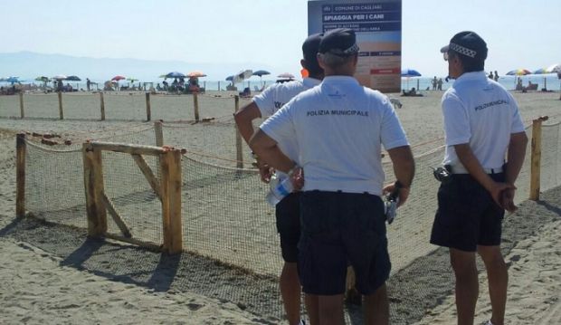 animali-senza-guinzaglio-nell-and-rsquo-area-cani-blitz-della-municipale-3-sanzioni