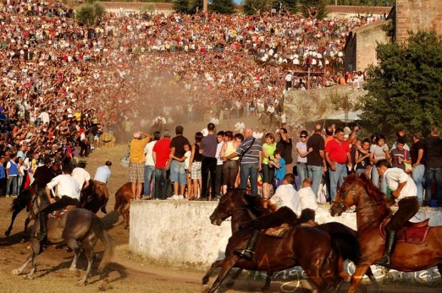 All’Ardia senza autorizzazione all-and-rsquo-ardia-senza-autorizzazione-denunciati-17-cavalieri