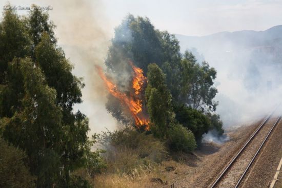 incendi-stop-di-90-minuti-al-treno-iglesias-villamassargia