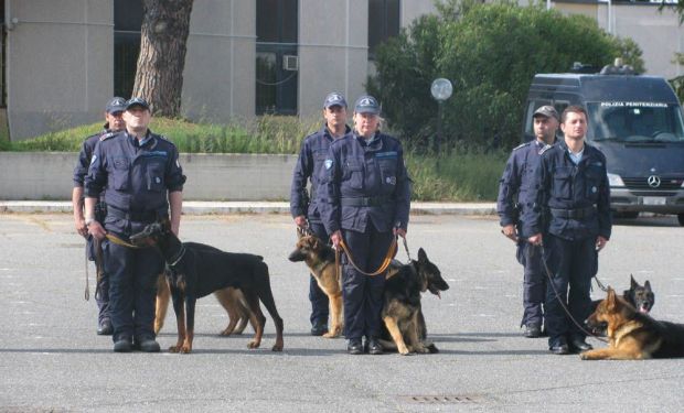 Cane antidroga sorprende detenuto con l'hascisc cane-antidroga-sorprende-detenuto-con-l-hascisc