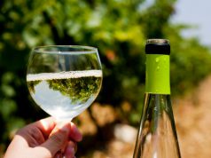 and-ldquo-non-and-egrave-esclusiva-della-sardegna-and-rdquo-pili-and-ldquo-attacco-ue-al-vermentino-and-rdquo