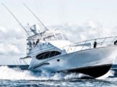 pesca-d-and-rsquo-altura-al-via-l-and-rsquo-angler-festival