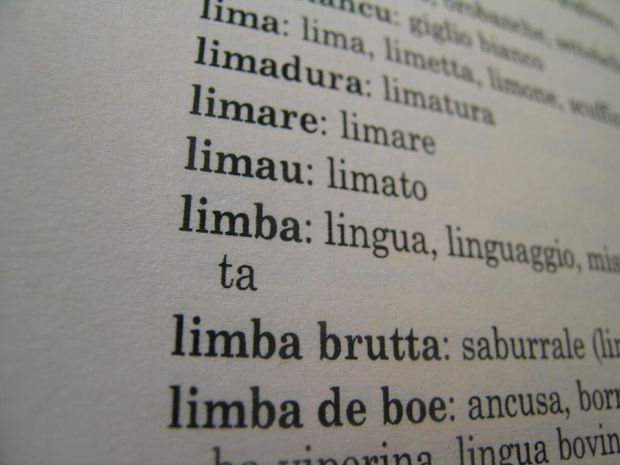 lingua-sarda-tedde-fi-and-quot-catalano-una-variante-antistorico-and-quot