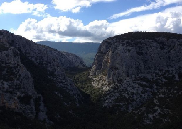 caccia-legge-di-settore-e-appello-a-pigliaru