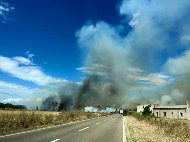 fiamme-nell-isola-cinque-incendi-da-domare-foto