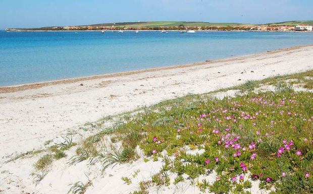 I furbetti del posto in spiaggia: maxi sequestro notturno di ombrelloni e canoe i-furbetti-del-posto-in-spiaggia-maxi-sequestro-notturno-di-ombrelloni-e-canoe
