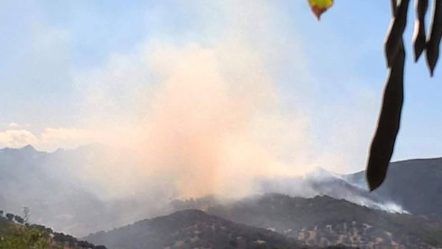 fiamme-in-gallura-evacuate-tre-case-elicotteri-e-canadair-in-azione-foto