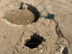 Expo expo-presentati-semi-di-vitigno-sardi-di-3-mila-anni-fa