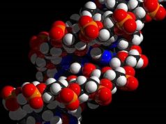 Bassa statura: scovato il gene nella mappa Dna di 6 mila sardi bassa-statura-scovato-il-gene-nella-mappa-dna-di-6-mila-sardi