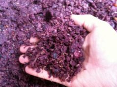 and-quot-farmaci-dalle-vinacce-del-cannonau-and-quot