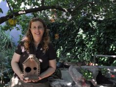 impresa-e-arte-premiati-talenti-sardi