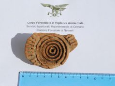 neoneli-scoperta-dopo-la-pioggia-spunta-insediamento-nuragico