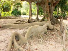 domenica-alla-scoperta-di-cagliari-e-nuoro-con-and-quot-faimarathon-and-quot