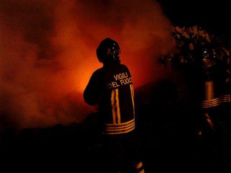 selargius-fienile-in-fiamme-maiali-e-cani-arsi-vivi-e-10-pecore-sgozzate