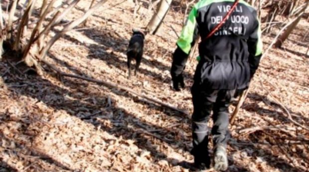 cinque-cercatori-di-funghi-dispersi-tra-solanas-e-castiadas