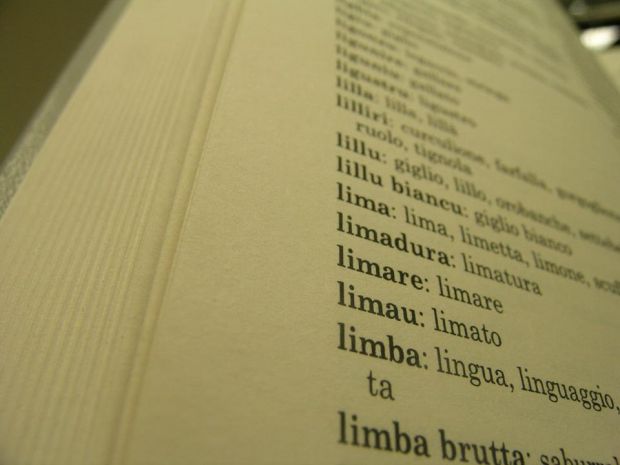 Programmi in limba nelle radio: 100 mila euro da Giunta programmi-in-limba-nelle-radio-100-mila-euro-da-giunta