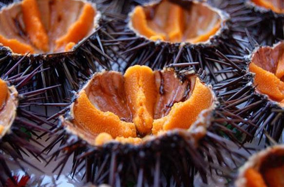 ricci-domani-riapre-il-mercatino-a-su-siccu