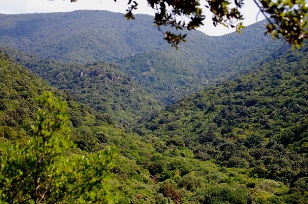 ritrovati-i-due-cercatori-di-funghi-dispersi-a-castiadas