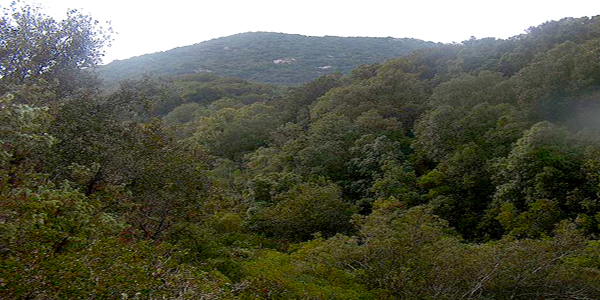 Cercavano funghi cercavano-funghi-dispersi-due-giovani