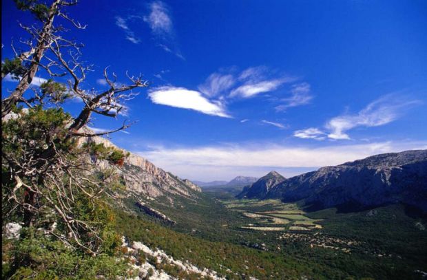 famiglia-olandese-nel-supramonte-niente-allarme-solo-and-ldquo-vacanza-estrema-and-rdquo