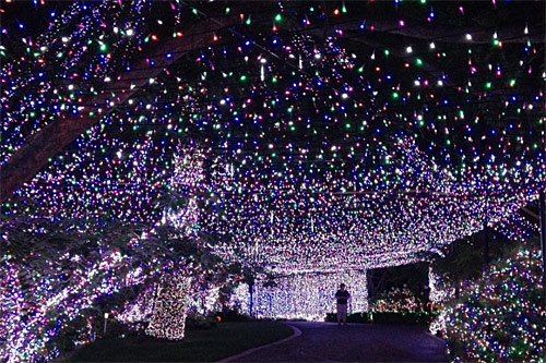 luci-di-natale-dall-and-rsquo-8-dicembre-and-ldquo-cento-fuochi-and-rdquo-tra-via-manno-e-via-garibaldi