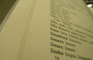 limba-and-ldquo-da-governo-s-and-igrave-a-norme-tutela-and-rdquo