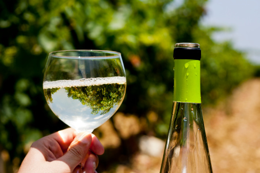 liberalizzazioni-ue-and-ldquo-vermentino-a-rischio-and-rdquo