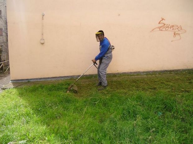Lavoro “verde” per 15 sofferenti psichici lavoro-and-ldquo-verde-and-rdquo-per-15-sofferenti-psichici