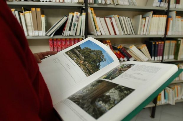 Firino: “Ecco le biblioteche del futuro” firino-and-ldquo-ecco-le-biblioteche-del-futuro-and-rdquo