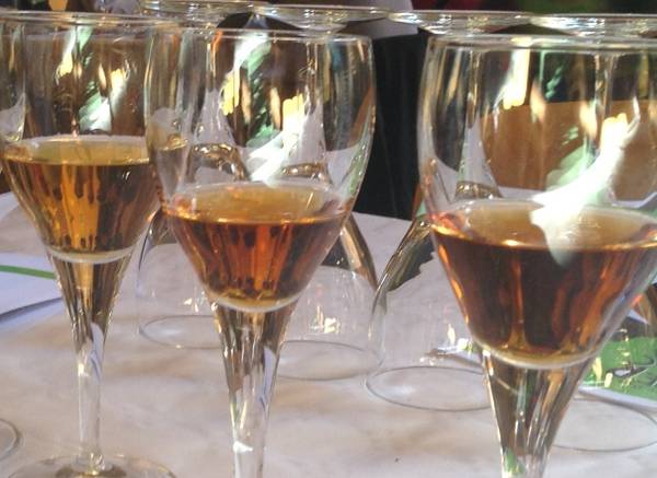 vino-esperti-a-confronto-per-rilanciare-la-vernaccia