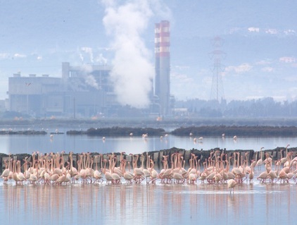 cacip-gi-and-ugrave-tariffe-smaltimento-dell-and-rsquo-umido