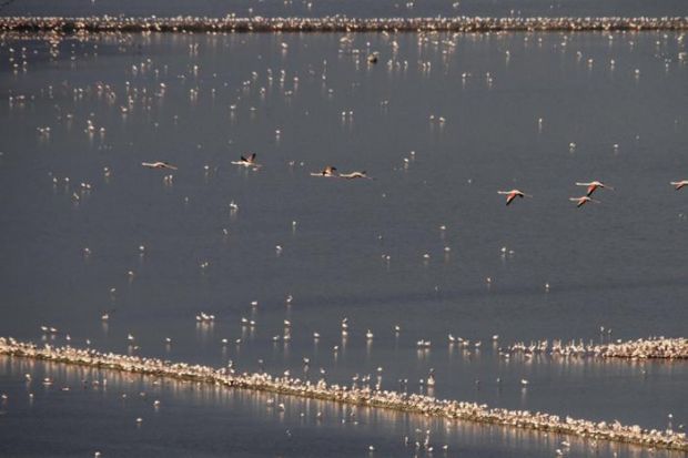 Quartu quartu-video-per-rilanciare-citt-and-agrave-turistica