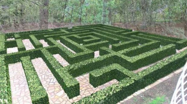 Cavalluccio Marino cavalluccio-marino-un-labirinto-nel-parco-e-giochi-a-sant-and-rsquo-elia