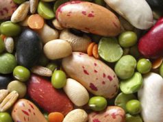 legumi-sardegna-sesta-produttrice-in-italia