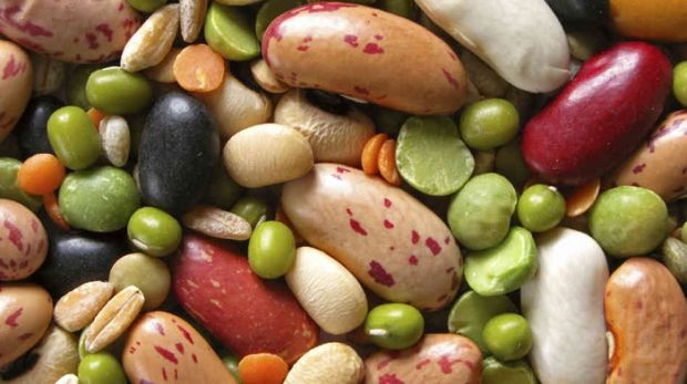 legumi-sardegna-sesta-produttrice-in-italia