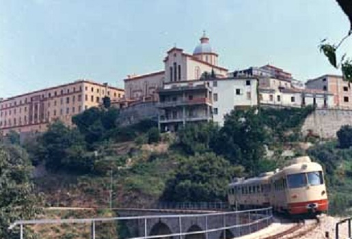 tortol-and-igrave-uccise-per-sconfinamento-pascolo-9-anni