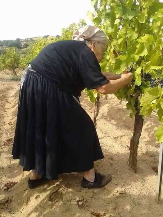 mamoiada-gli-80-anni-di-antonietta-regina-del-cannonau