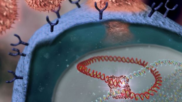 ricerche-retrovirus-su-riviste-straniere