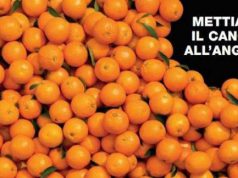 ricerca-cancro-arance-nelle-piazze-sarde