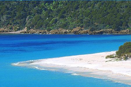 vittoria-ecologista-niente-cemento-a-capo-malfatano