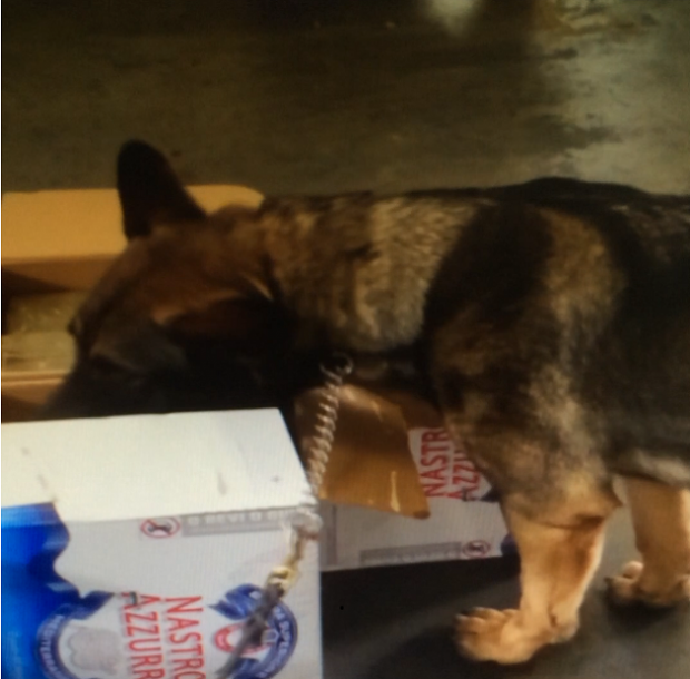 droga-maxi-sequestro-di-hashish