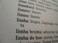 Messa in sardo, Csu: "Vaticano acceleri" messa-in-sardo-csu-and-quot-vaticano-acceleri-and-quot