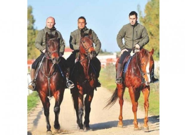 sartiglia-cavallo-muore-prima-delle-pariglie