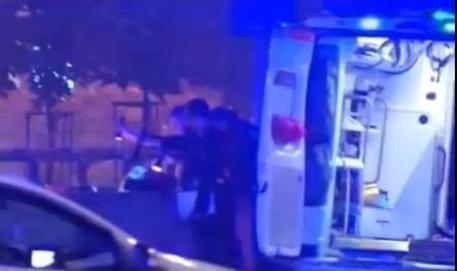 auto-travolge-mucca-muore-un-32enne