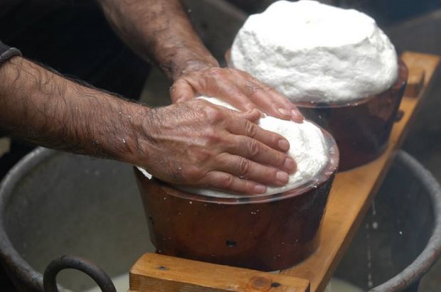 marchio-qualit-and-agrave-ok-della-giunta